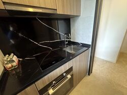 Irwell Hill Residences (D9), Apartment #453408101